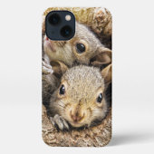 Kutest Baby Animals | Merkwaardige Baby eekhoorns iPhone Hoesje (Achterkant)