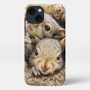 Kutest Baby Animals   Merkwaardige Baby eekhoorns iPhone 13 Hoesje