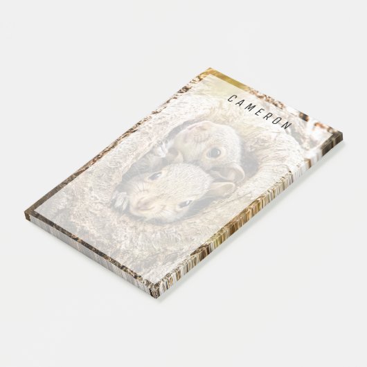 Kutest Baby Animals | Merkwaardige Baby eekhoorns Post-it® Notes (Schuin)