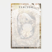 Kutest Baby Animals | Merkwaardige Baby eekhoorns Post-it® Notes (Voorkant)