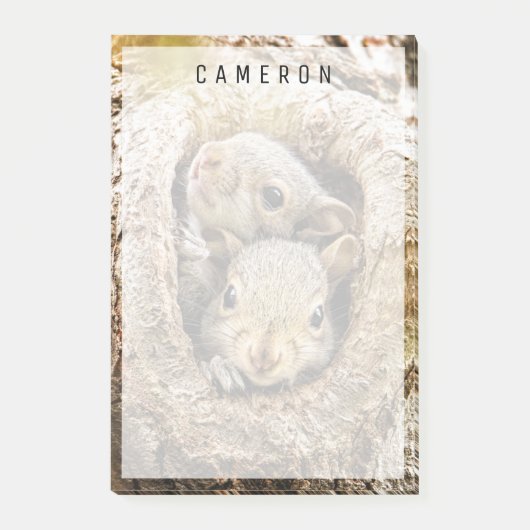 Kutest Baby Animals | Merkwaardige Baby eekhoorns Post-it® Notes (Voorkant)