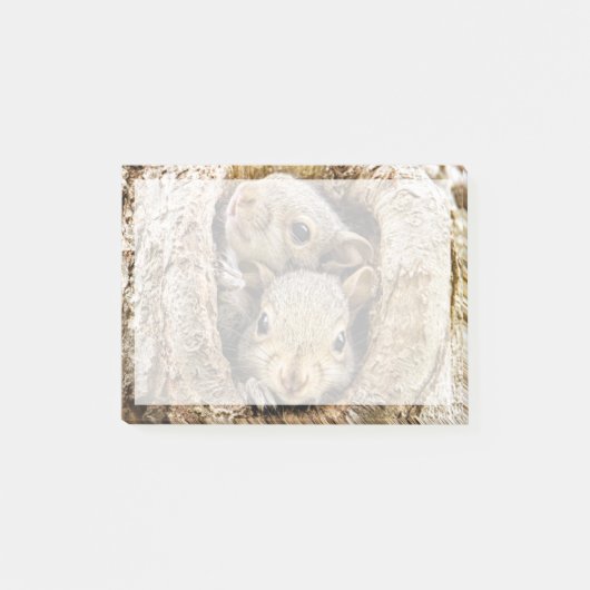 Kutest Baby Animals | Merkwaardige Baby eekhoorns Post-it® Notes (Voorkant)
