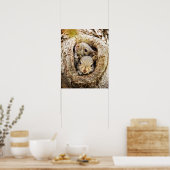 Kutest Baby Animals | Merkwaardige Baby eekhoorns Poster (Keuken)