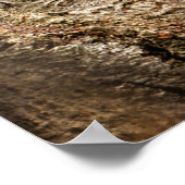 Kutest Baby Animals | Merkwaardige Baby eekhoorns Poster (Hoek)