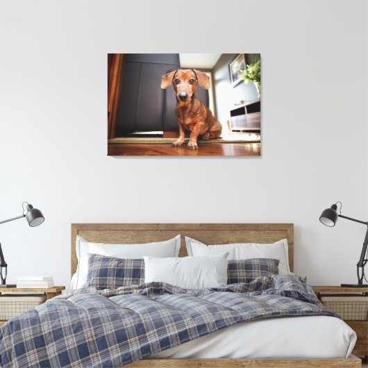 Kutest Baby Animals | Mini Dachshund Puppy Canvas Afdruk (Insitu (Slaapkamer))
