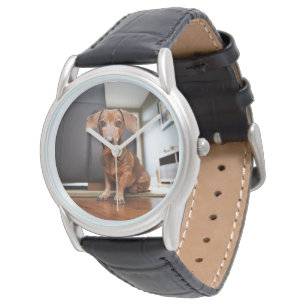 Kutest Baby Animals   Mini Dachshund Puppy Horloge