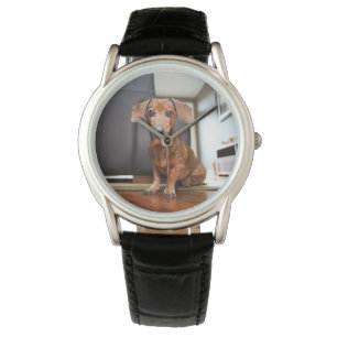 Kutest Baby Animals   Mini Dachshund Puppy Horloge