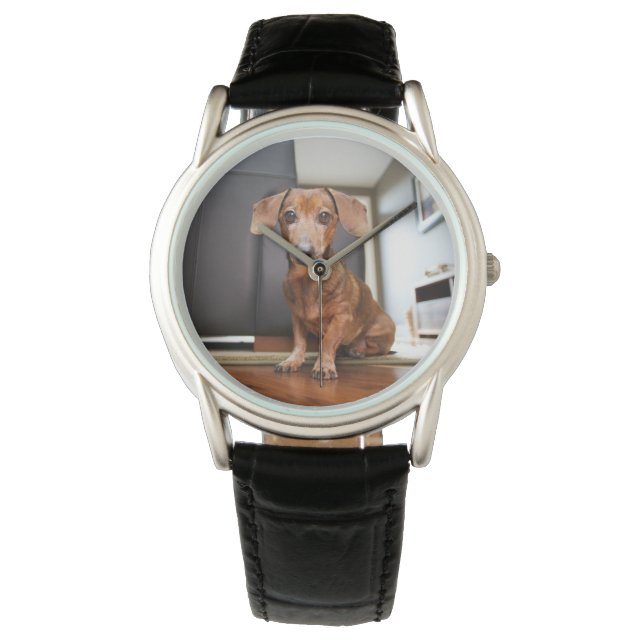 Kutest Baby Animals | Mini Dachshund Puppy Horloge (Voorkant)