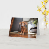 Kutest Baby Animals | Mini Dachshund Puppy Kaart (Gele Bloem)