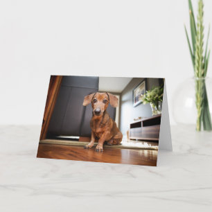 Kutest Baby Animals   Mini Dachshund Puppy Kaart