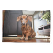 Kutest Baby Animals | Mini Dachshund Puppy Kussensloop (Achterkant)