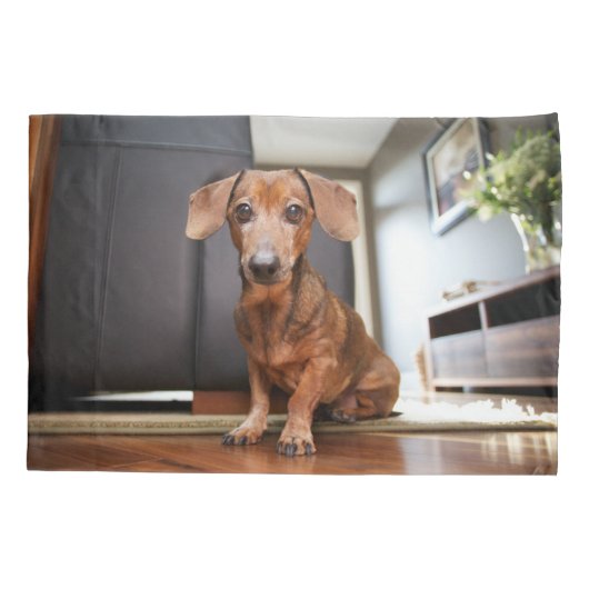 Kutest Baby Animals | Mini Dachshund Puppy Kussensloop (Achterkant)