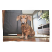 Kutest Baby Animals | Mini Dachshund Puppy Kussensloop (Voorkant)