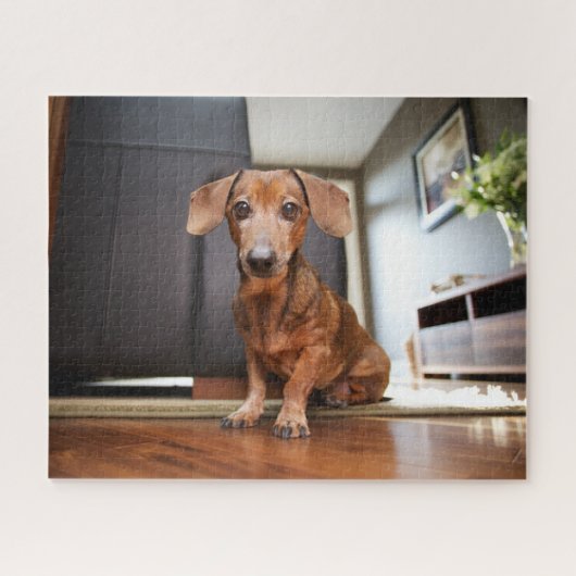 Kutest Baby Animals | Mini Dachshund Puppy Legpuzzel (Horizontaal)