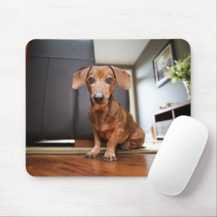 Kutest Baby Animals Mini Dachshund Puppy Muismat