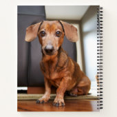 Kutest Baby Animals | Mini Dachshund Puppy Notitieboek (Achterkant)