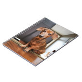 Kutest Baby Animals | Mini Dachshund Puppy Notitieboek (Linkerzijde)