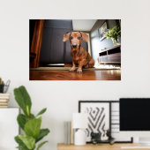 Kutest Baby Animals | Mini Dachshund Puppy Poster (Thuiskantoor)
