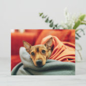 Kutest Baby Animals | Miniatuur Pinscher Bedankkaart (Staand voorkant)