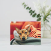 Kutest Baby Animals | Miniatuur Pinscher Briefkaart (Staand voorkant)