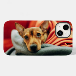 Kutest Baby Animals   Miniatuur Pinscher Case-Mate iPhone 14 Hoesje