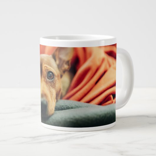 Kutest Baby Animals | Miniatuur Pinscher Grote Koffiekop (Voorkant rechts)