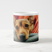 Kutest Baby Animals | Miniatuur Pinscher Grote Koffiekop (Voorkant)