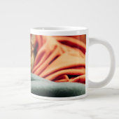 Kutest Baby Animals | Miniatuur Pinscher Grote Koffiekop (Rechts)