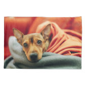 Kutest Baby Animals | Miniatuur Pinscher Kussensloop (Achterkant)