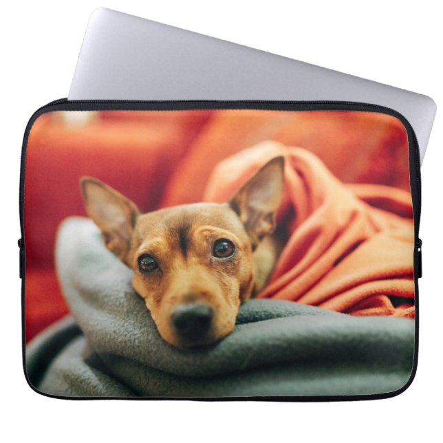 Kutest Baby Animals | Miniatuur Pinscher Laptop Sleeve (Voorkant)