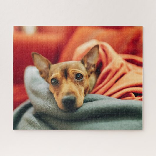 Kutest Baby Animals | Miniatuur Pinscher Legpuzzel (Horizontaal)