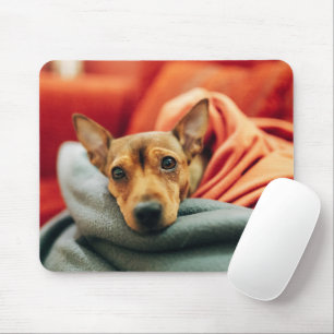 Kutest Baby Animals   Miniatuur Pinscher Muismat