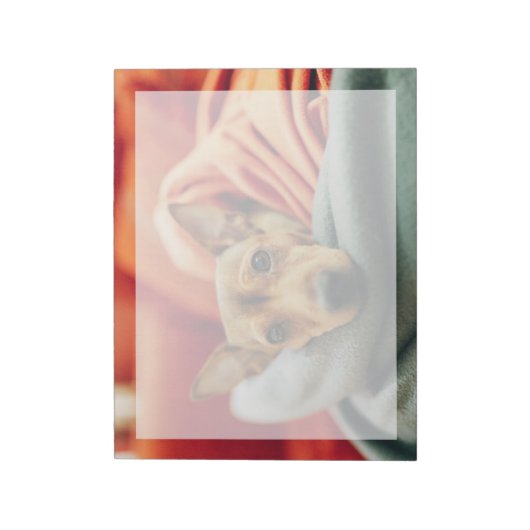 Kutest Baby Animals | Miniatuur Pinscher Notitieblok (Linkerzijde)