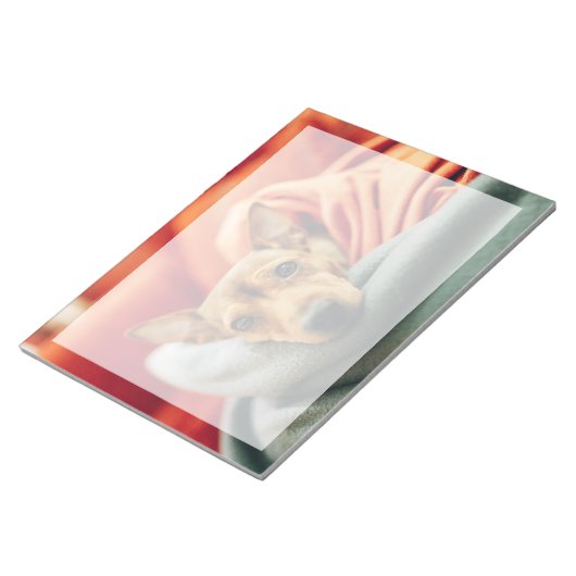 Kutest Baby Animals | Miniatuur Pinscher Notitieblok (Schuin)