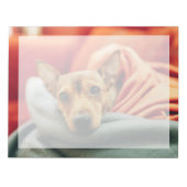 Kutest Baby Animals | Miniatuur Pinscher Notitieblok (Voorkant)