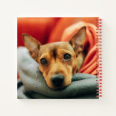 Kutest Baby Animals | Miniatuur Pinscher Notitieboek (Achterkant)