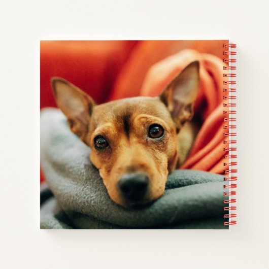 Kutest Baby Animals | Miniatuur Pinscher Notitieboek (Achterkant)