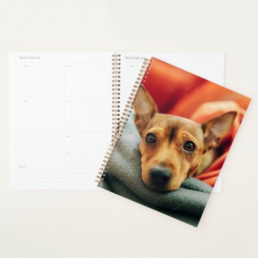 Kutest Baby Animals | Miniatuur Pinscher Planner (Display)