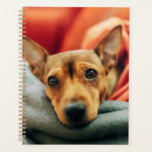 Kutest Baby Animals | Miniatuur Pinscher Planner (Voorkant)