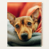 Kutest Baby Animals | Miniatuur Pinscher Planner (Achterkant)