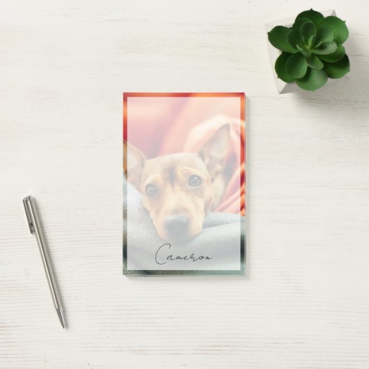 Kutest Baby Animals | Miniatuur Pinscher Post-it® Notes (Kantoor)