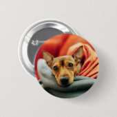 Kutest Baby Animals | Miniatuur Pinscher Ronde Button 5,7 Cm (Voorkant /achterkant)