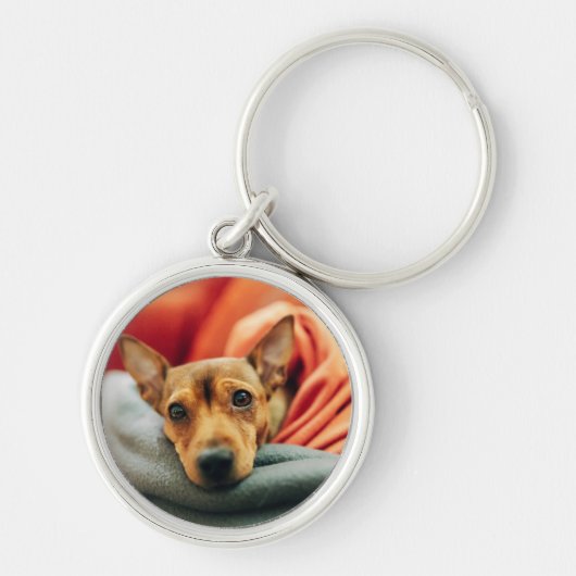 Kutest Baby Animals | Miniatuur Pinscher Sleutelhanger (Voorkant)
