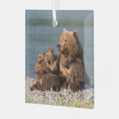 Kutest Baby Animals | Moeder Beer en kubussen Glas Ornament (Voorkant links)