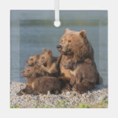 Kutest Baby Animals | Moeder Beer en kubussen Glas Ornament (Voorkant)