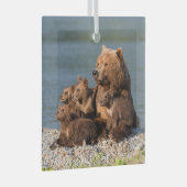Kutest Baby Animals | Moeder Beer en kubussen Glas Ornament (Voorkant Rechts)