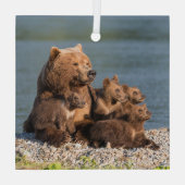 Kutest Baby Animals | Moeder Beer en kubussen Glas Ornament (Achterkant)