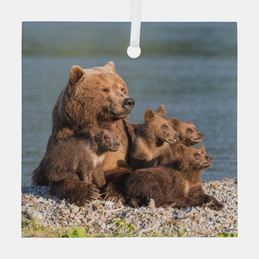 Kutest Baby Animals | Moeder Beer en kubussen Glas Ornament (Achterkant)