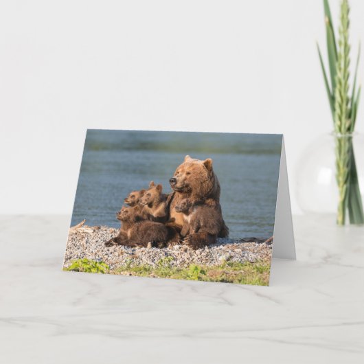 Kutest Baby Animals | Moeder Beer en kubussen Kaart (Voorkant)