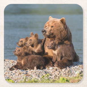 Kutest Baby Animals Moeder Beer en kubussen Kartonnen Onderzetters